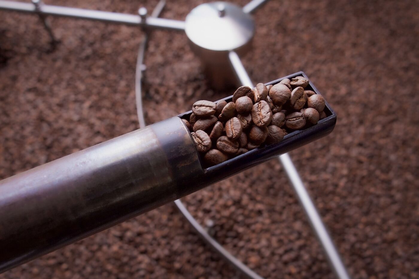 Gæster nyder kaffe i hyggelig kaffebar i København