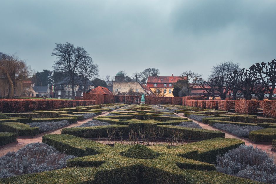 Grøn allégade med butikker i Frederiksberg, København
