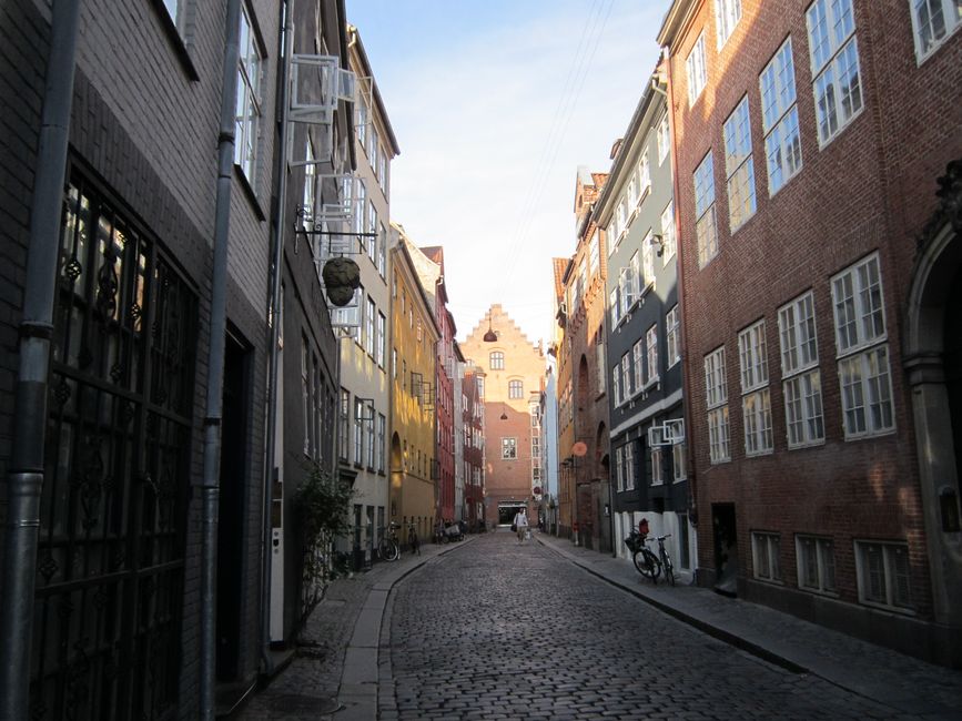 Parkliv nær Fælledparken på Østerbro i København